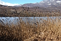 Lago Piccolo di Avigliana ghiacciato_044